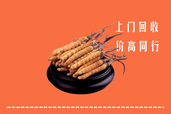 高价求购：洪湖市回收散虫草