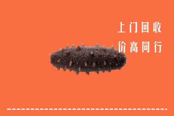 高价求购：洪湖市回收海参