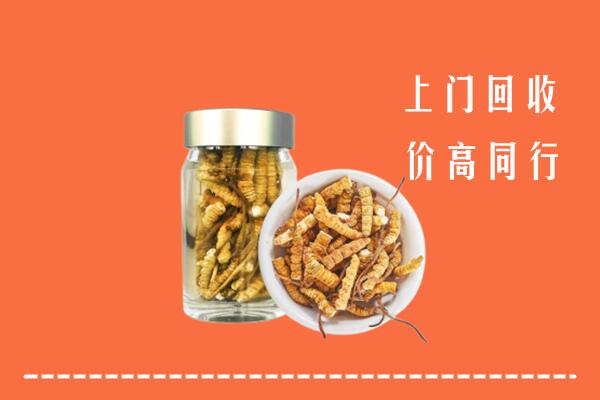 洪湖市回收冬虫夏草